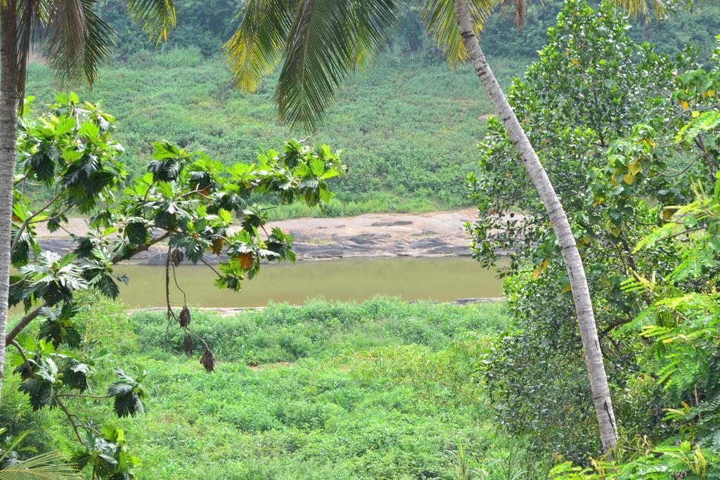 Kandy Blue Buitenkant foto